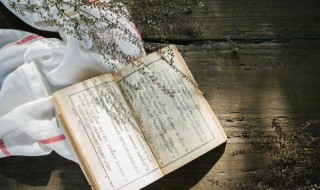 应声虫什么意思（应声虫什么意思小度）