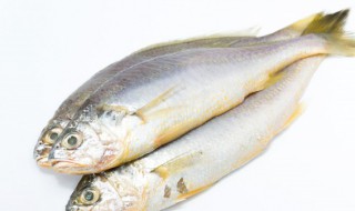 豆酱焗鲈鱼怎么做 豆豉烤鲈鱼的做法