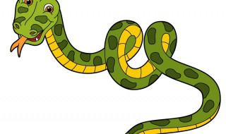 捕蛇网怎么放 捕蛇网怎么放法教程视频