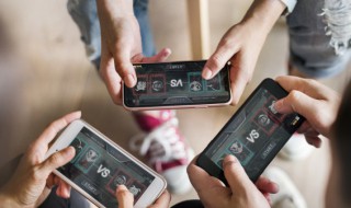 小森生活如何养殖小鱼（小森生活如何养动物）