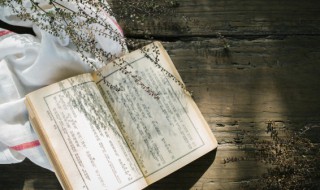 兄弟手足的意思 兄弟是手足