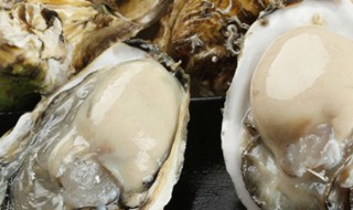 生蚝是怎么生长的(生蚝怎么判断是活的)