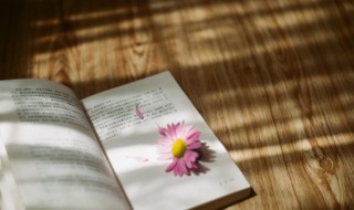 摧眉折腰事权贵的意思（摧眉折腰事权贵读音）