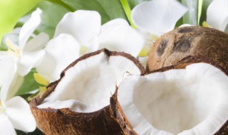 清润鲜美椰子鸡的做法 清润鲜美椰子鸡的做法视频