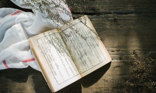 晓风残月什么意思（杨柳月晓风残月什么意思）