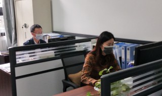 事业单位文字综合岗做什么工作（事业单位文字综合岗做什么工作好）