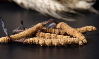 冬虫草煲鸡汤 冬虫草煲鸡汤喝了有什么好处