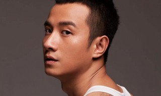 刘易阳是什么电视剧（刘易阳他妈是谁演的）