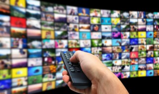 陈树峰是什么电视剧 陈树峰是什么电视剧里的