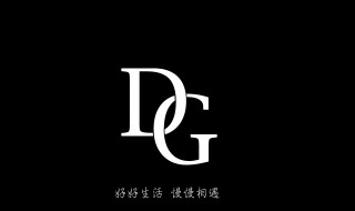 dg是什么品牌标志（dg是什么品牌标志手表）