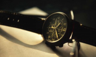 enicar是什么品牌（英纳格手表什么档次）