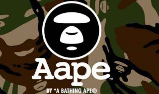 bape是什么品牌(世界十大顶级奢侈品牌)
