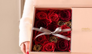 野兽派是什么品牌（野兽派属于什么档次）