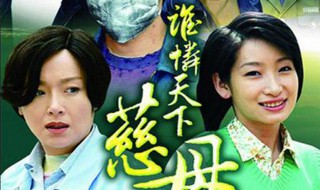 海燕苦儿是什么电视剧 有海燕的电视剧