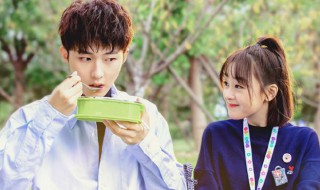 方黎是什么电视剧（洛言方黎是什么电视剧）