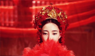 聂无双是什么电视剧 聂无双是什么电视剧天泪传奇之凤凰无双