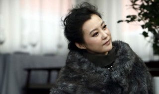 纪琴武墨什么电视剧 纪晴武墨是什么电视剧