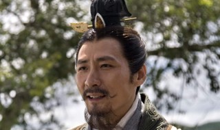 秦霸是什么电视剧（电视剧霸王）