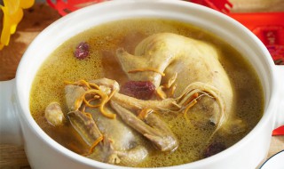 什么鸡煲汤最有营养（营养鸡汤的炖制方法）