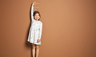 rookie是什么品牌 rookie是什么品牌中文