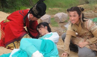 红鱼儿是什么电视剧（红鱼儿是什么电视剧里的人物）