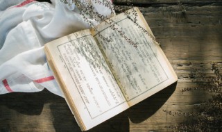 嗷嗷待哺的词语意思（嗷嗷待哺的词语意思是什么）