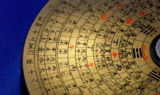 伤官代表什么（伤官代表什么六亲）