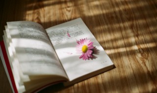 天干指什么 天干地支天干指什么