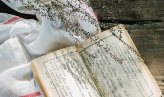 兵不血刃的历史故事兵不血刃的意思 兵不血刃典故简介