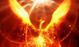 五行缺火怎么办（五行缺火怎么办,要如何补救?）