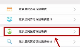 手机怎么交医保（手机怎么交医保微信）