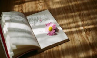 郎才女貌的词语意思 郎才女貌的解释词语