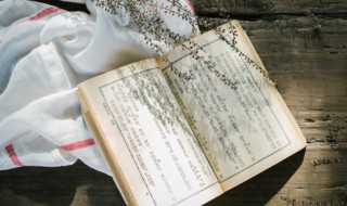 秋风萧瑟的词语意思 秋风萧瑟的词语意思是什么