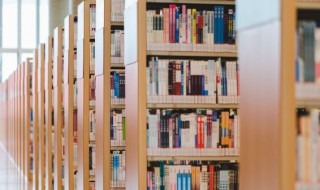 翊字五行属什么（翊字五行属什么和意义取名）