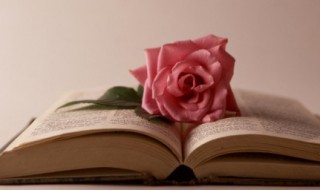 源字五行属什么（原字五行属什么）