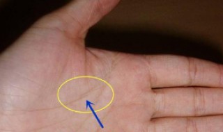 手相生命线代表什么(手相生命线代表什么女人)