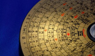 什么叫藏干（什么叫藏干,什么叫藏支）