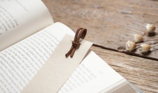 深文周纳是什么意思（深文周纳的深文的意思）