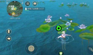 创造与魔法红莲位置 创造与魔法红莲位置刷新时间