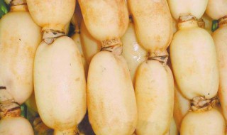 怀孕可以吃莲藕不(怀孕吃莲藕流产了)