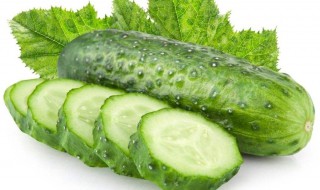 减脂期间吃黄瓜可以吗(减肥期间吃黄瓜可以吗)