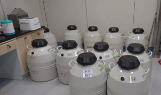 胚胎冷冻可以保存多长时间（胚胎冷冻可以保存多久）