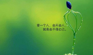 生活感悟激励人心的句子 生活感悟激励人心的句子图片