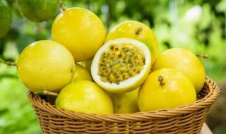 百香果可不可以开花 百香果花能开几天