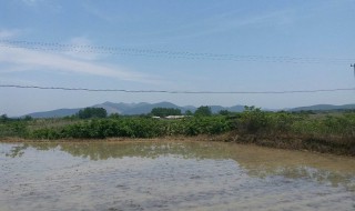 安徽白茅岭有什么好玩的地方（安微白茅岭具体地址）