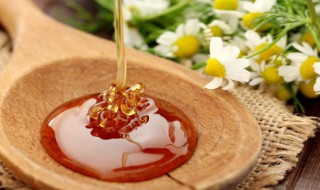 蜜蜂怕什么(蜜蜂怕什么颜色?)