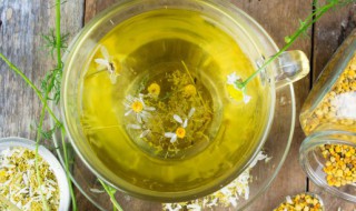 桑叶泡水喝可以么（桑叶泡水喝可以吗）