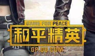 和平精英战队有什么用（吃鸡 和平精英战队）