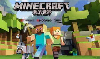 我的世界神秘元素物品（我的世界神秘所有元素）