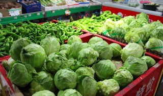 蔬菜冷库最长能保存多久(30平方冷库造价表)